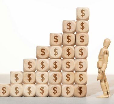 Growth, wealth or richness concept