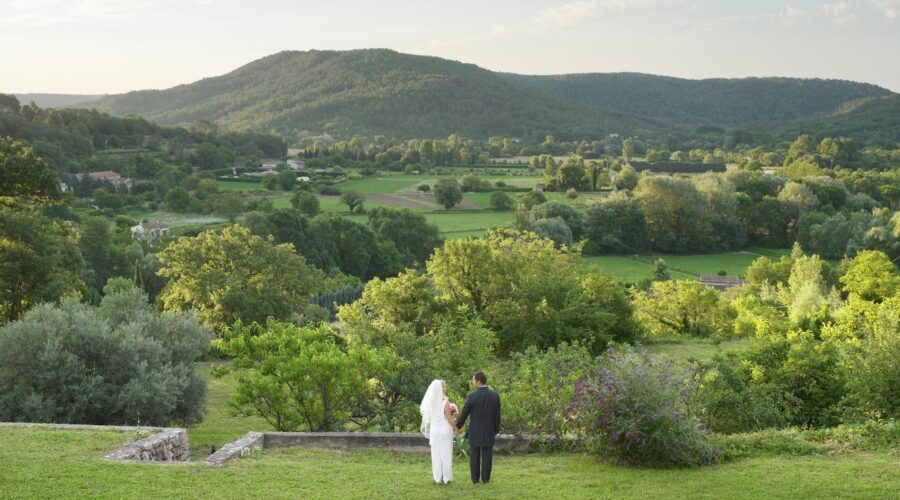 Rear of wedding couple in garden